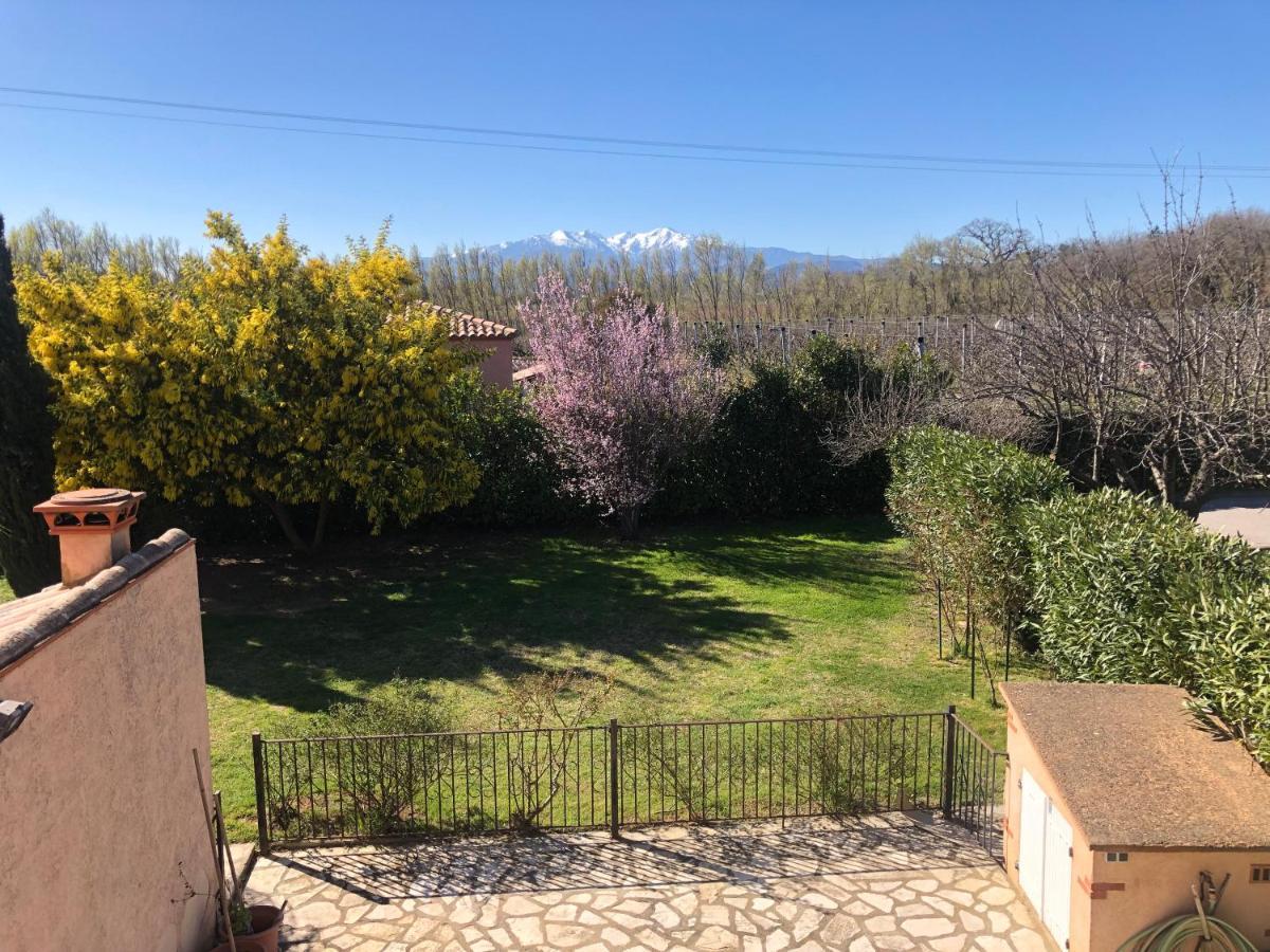 Au Mimosa -Gite Le Canigou Passa エクステリア 写真