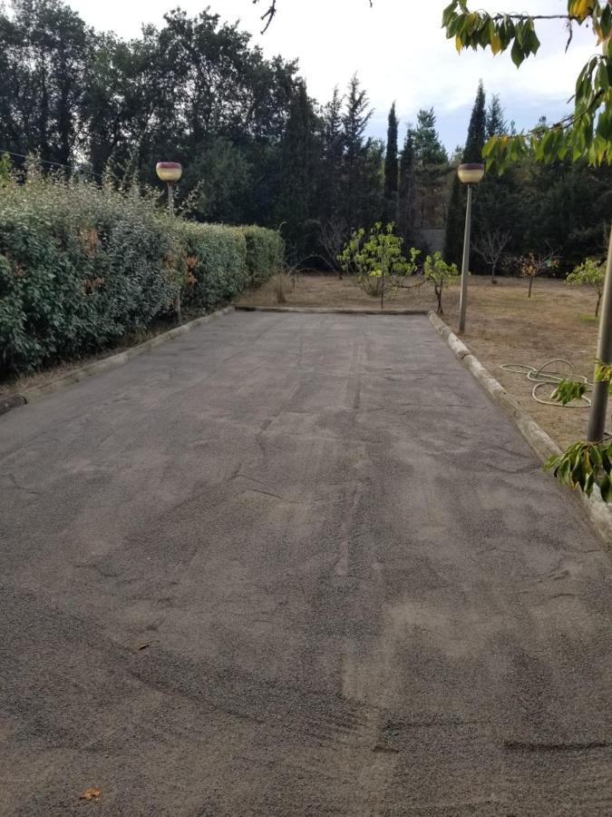 Au Mimosa -Gite Le Canigou Passa エクステリア 写真