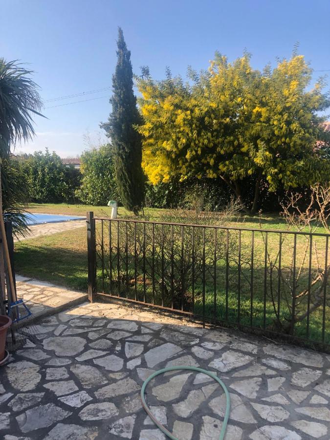 Au Mimosa -Gite Le Canigou Passa エクステリア 写真